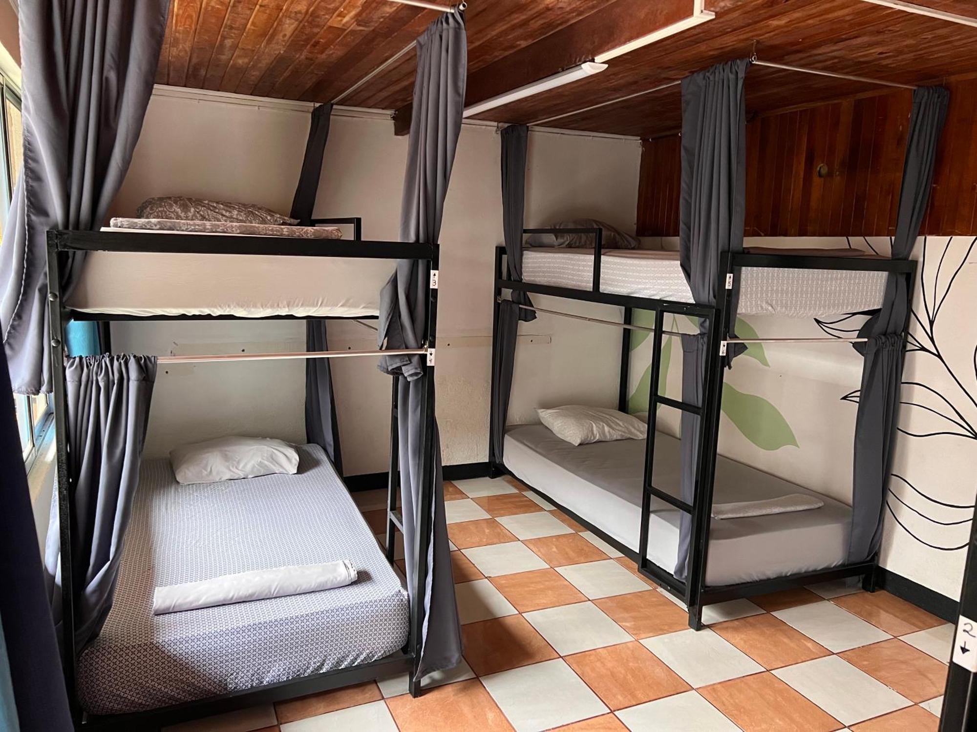 La Fortuna Rio Danta Hostel מראה חיצוני תמונה